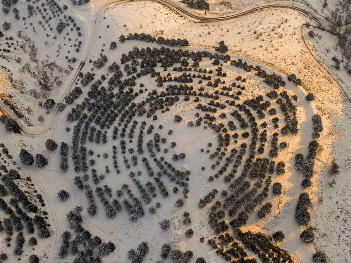 New forensic technique: personal bacteria as the new&nbsp;fingerprint?