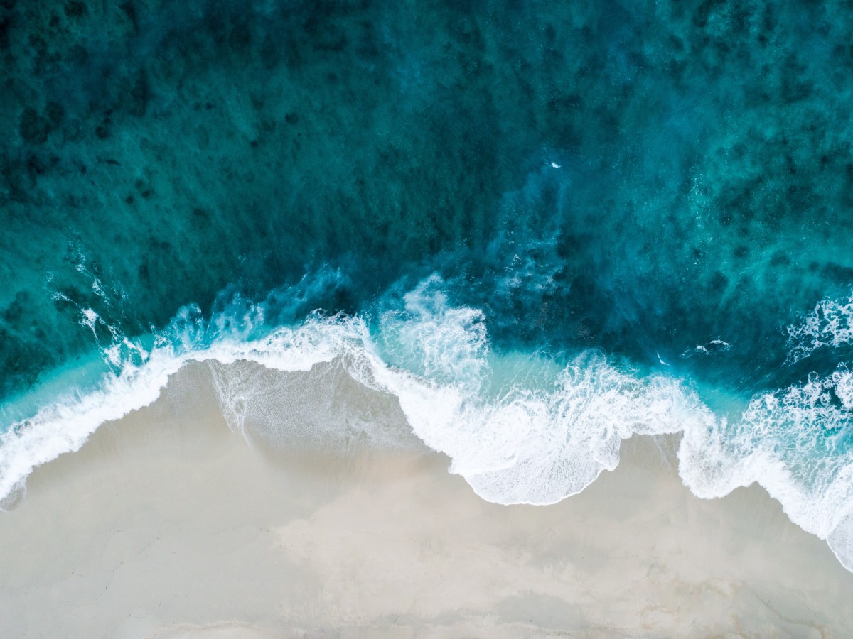 The Cellular Camera: Spatial Transcriptomics and the Future of&nbsp;Biology