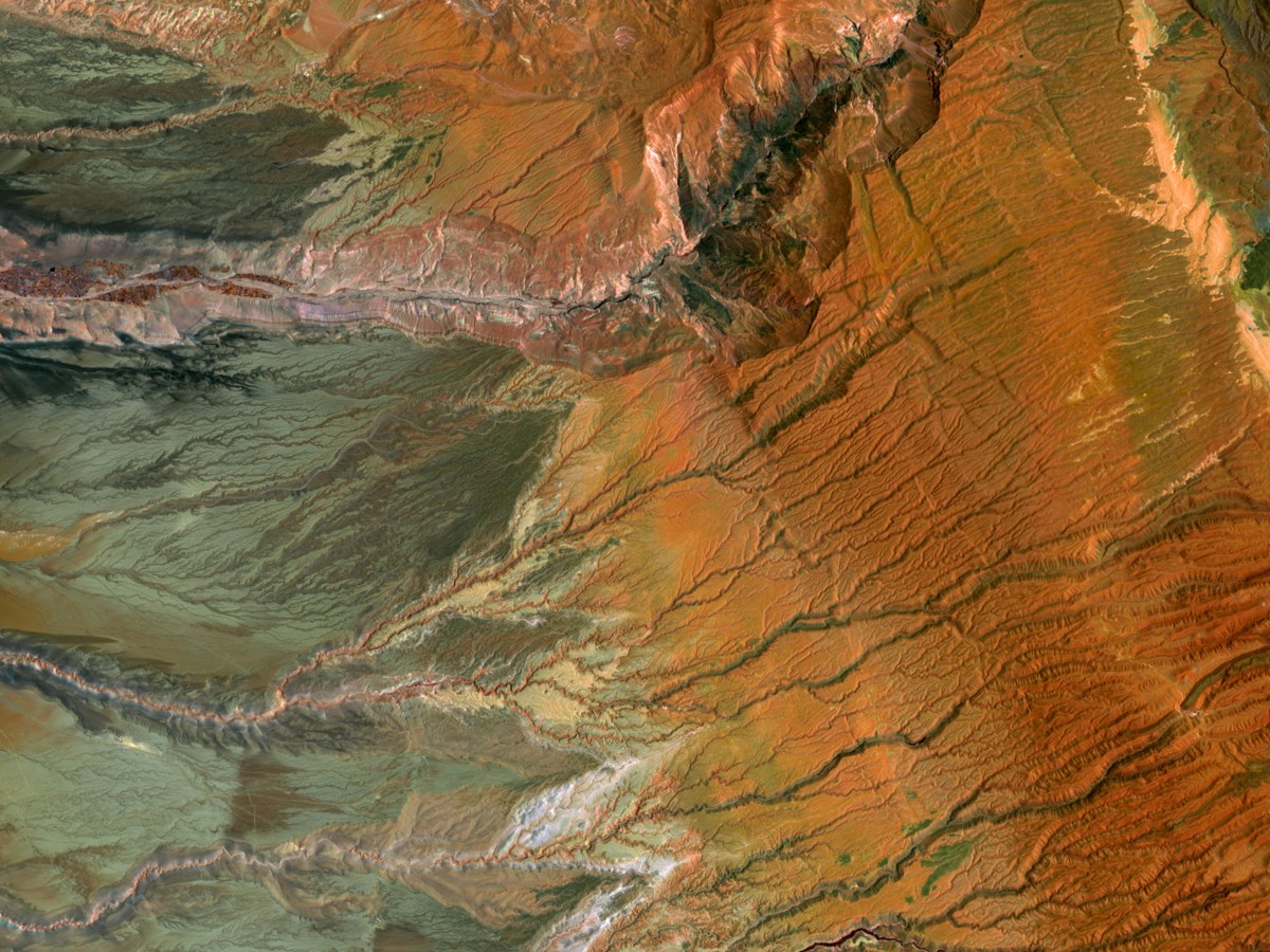 Connecting the Genetic Dots: The Ancestral Diversity of Type 2&nbsp;Diabetes